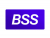 Компания BSS добилась наилучшего качества распознавания казахского языка